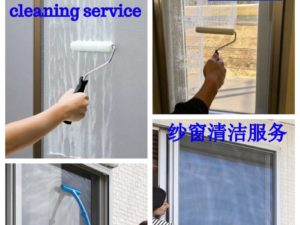 Insect Screen Cleaning Service